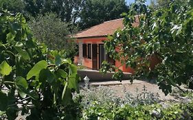 The Forest House Krk 2